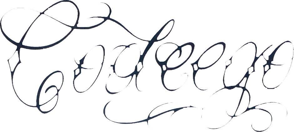 Codeego Logo